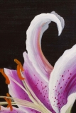 Tiger-Lily-Painting-3367